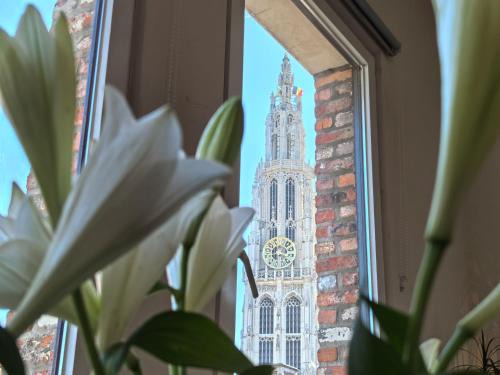 Historical center Antwerp, all on foot