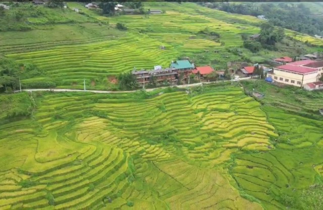 Hmong Wooden Home