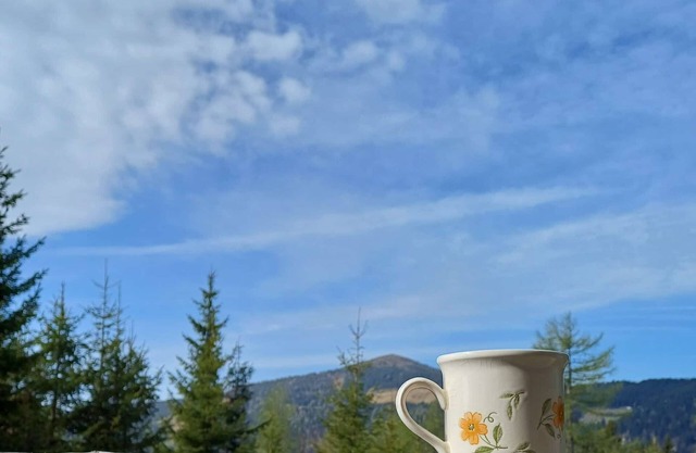 Holiday house Bad St. Leonhard im Lavanttal for 1 - 5 persons with 2 bedrooms - Twin house
