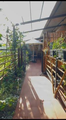 Hoa Cau HoiAn