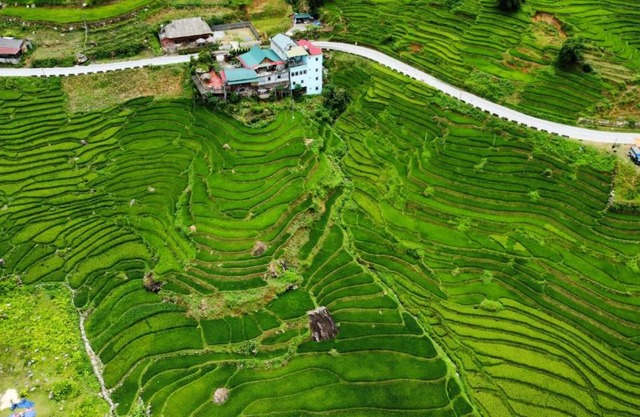 Hoa's homestay Sapa