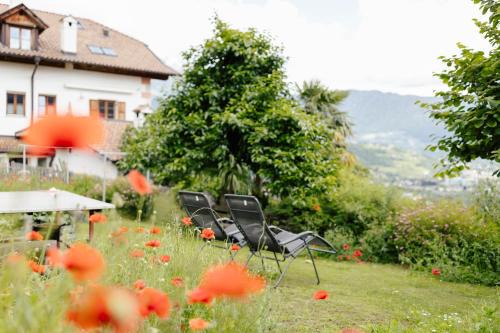 Hofer am Bach