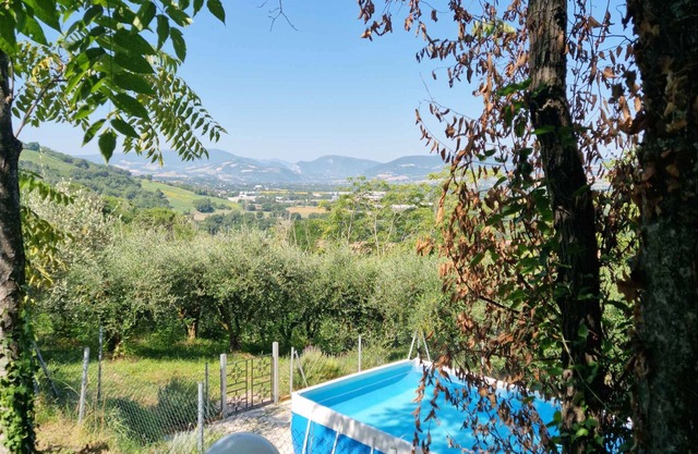 Holiday home with barbecue and pool, partly surrounded by an olive grove
