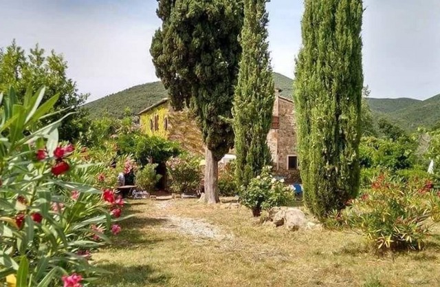 Holiday apartment Castellina Marittima for 1 - 4 persons with 1 bedroom - Holiday apartment