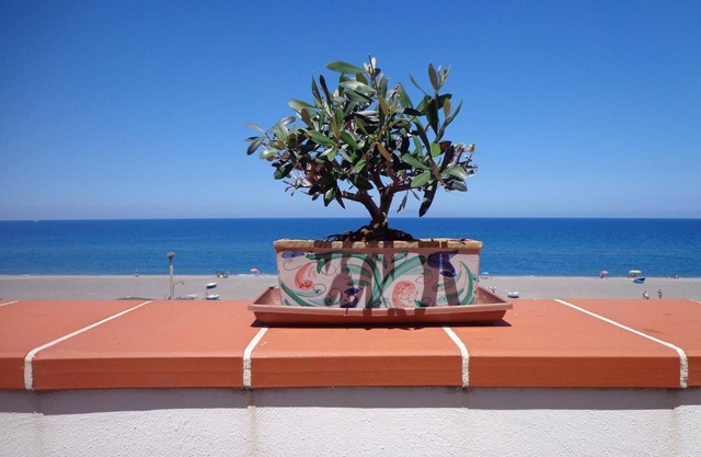 Holiday apartment Terme Vigliatore for 1 - 5 persons with 2 bedrooms - Holiday apartment