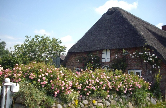 Holiday apartment Gotteskoogdeich for 1 - 5 persons with 1 bedroom - Holiday apartment in one or mul