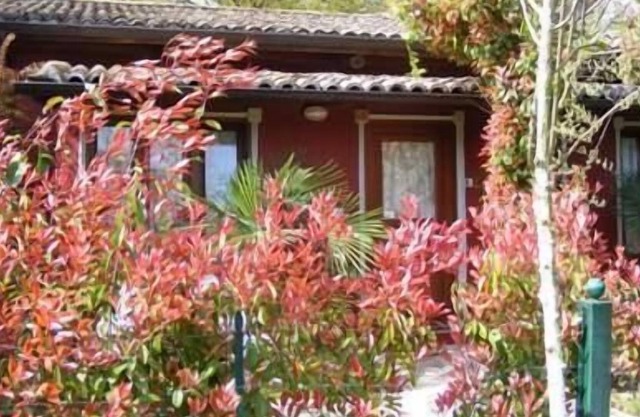 Holiday apartment Tomba di Nerone for 1 - 4 persons with 1 bedroom - Holiday apartment