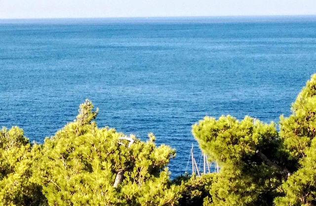Holiday apartment with sea view and tea terrace