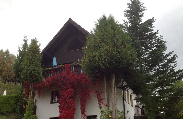 holiday apartment/apt. for 3 guests with 40m² in Tannenberg (162086)