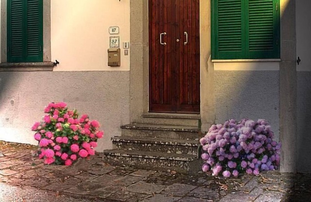 Holiday apartment Arcidosso for 4 persons with 1 bedroom - Holiday house