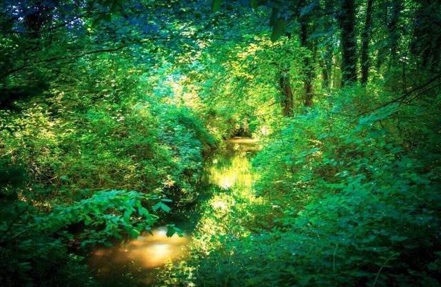 Holiday apartment at the castle park