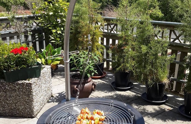 Holiday apartment Birresborn for 1 - 2 persons with 1 bedroom - Holiday apartment in one or multi-fa