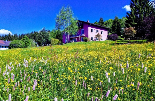 Holiday apartment Neureichenau for 2 persons with 1 bedroom - Holiday house