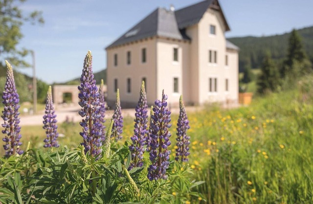 Holiday apartment Eibenstock for 2 persons with 1 bedroom - Holiday apartment