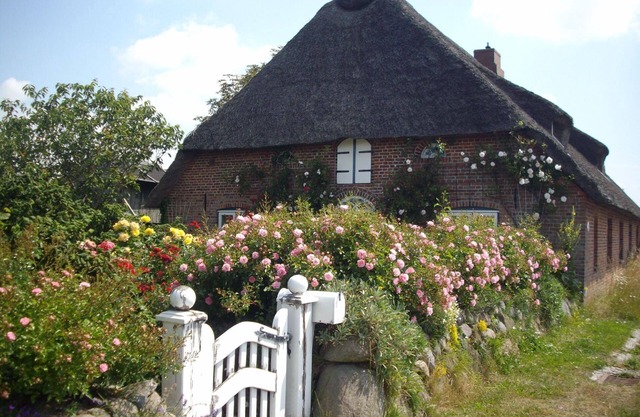 Holiday apartment Emmelsbüll-Horsbüll for 1 - 4 persons - Holiday apartment in one or multi-family h