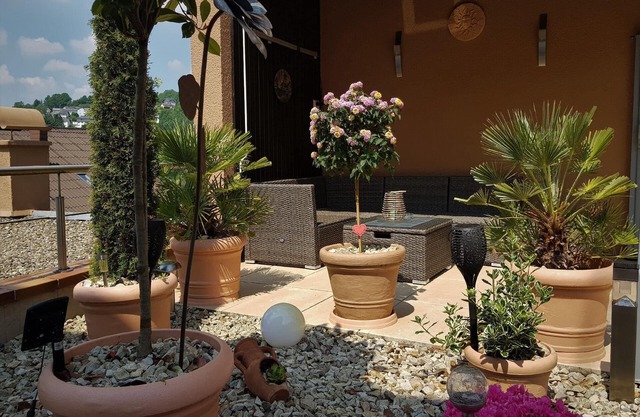 Holiday apartment Frauenberg for 1 - 2 persons with 1 bedroom - Holiday apartment