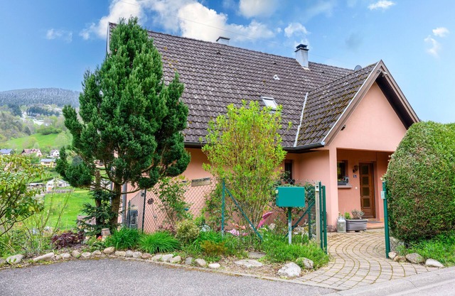 Holiday Apartment "Gîte En Montagne Vosges Alsaciennes" with Mountain View, Shared Terrace & Wi-Fi