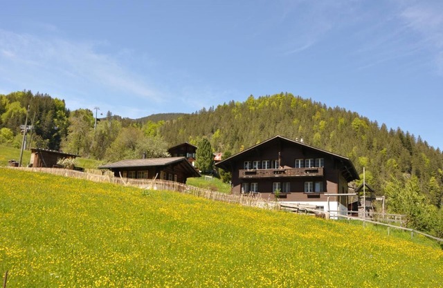 Holiday apartment Grindelwald for 1 - 5 persons with 2 bedrooms - Holiday apartment