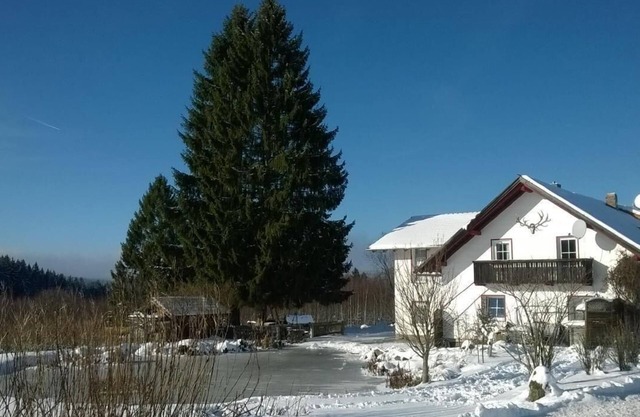 Holiday apartment Haidmühle for 1 - 4 persons with 2 bedrooms - Holiday apartment