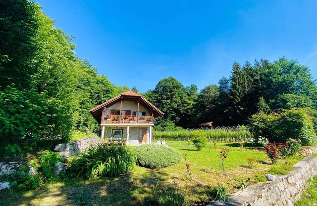 Holiday apartment in the vineyards and forests, renovated in December 2023
