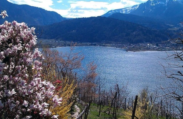 Holiday apartment Levico Terme for 1 - 3 persons with 1 bedroom - Holiday apartment