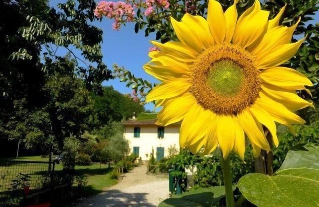 Holiday apartment Pistoia (Stadt) for 2 - 5 persons with 2 bedrooms - Twin house