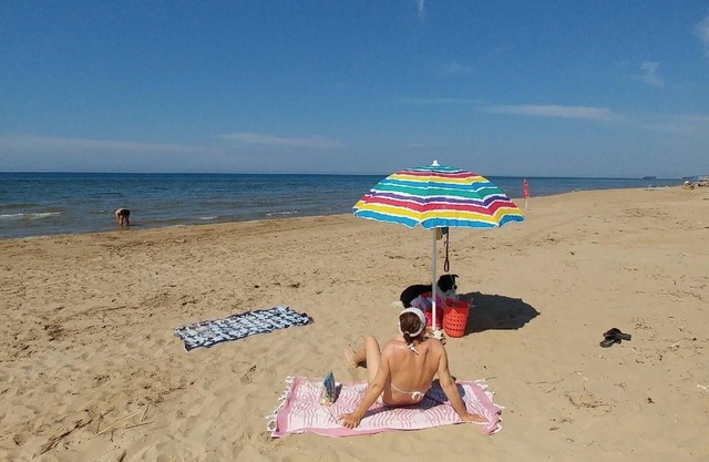 Holiday apartment Lesina for 1 - 4 persons with 1 bedroom - Row house