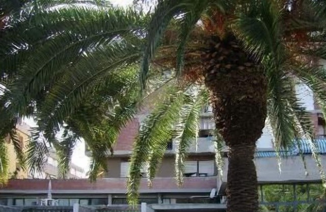 Holiday apartment Marinella di Sarzana for 1 - 5 persons with 1 bedroom - Holiday apartment in one o