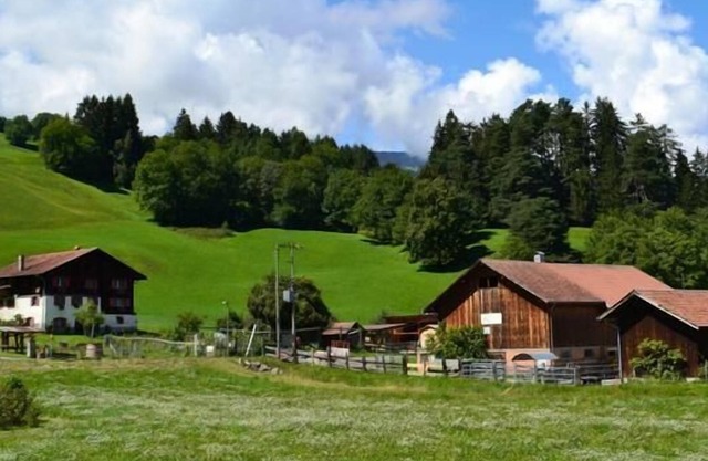 Holiday apartment Masein for 2 - 7 persons with 3 bedrooms - Holiday house