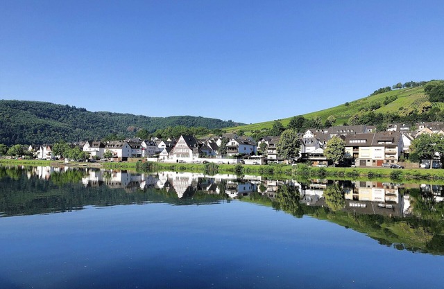Holiday apartment Mosel Vineyard - Modern, comfortable and friendly