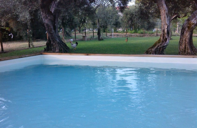 Holiday apartment Oscano for 1 - 4 persons with 1 bedroom - Holiday house
