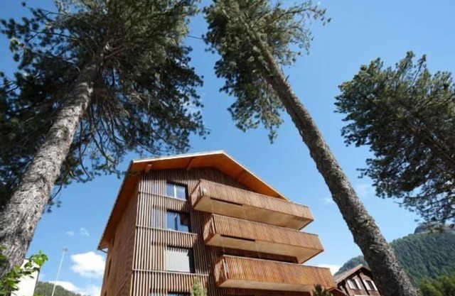 Holiday apartment Pontresina for 1 - 6 persons with 3 bedrooms - Holiday apartment