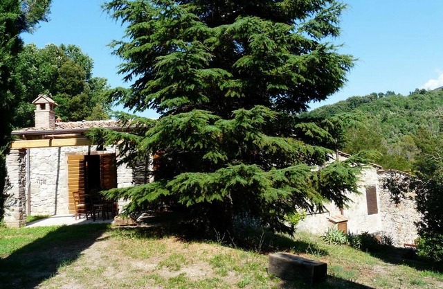 Holiday apartment Pomaia for 1 - 7 persons with 3 bedrooms - Holiday apartment
