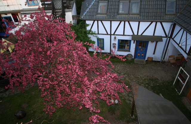Holiday apartment Retschow for 1 - 2 persons with 1 bedroom - Twin house