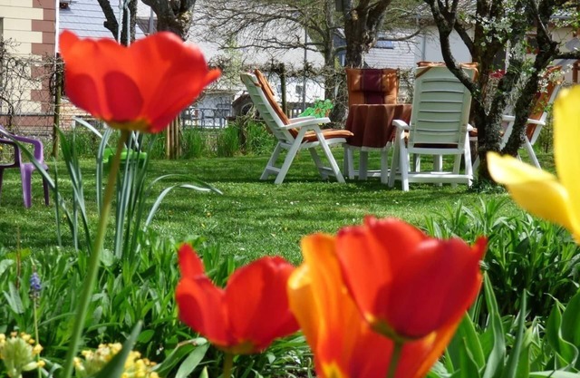 Holiday apartment Siesbach for 1 - 4 persons with 1 bedroom - Holiday apartment