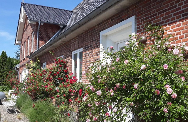 Holiday apartment Stoltebüll for 1 - 2 persons with 1 bedroom - Twin house