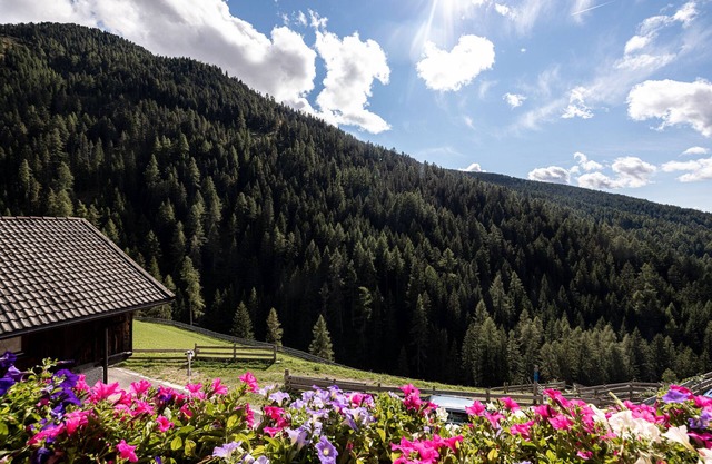 Holiday Apartment "Talblick Hinterproslhof" with Mountain View, Balcony & Wi-Fi