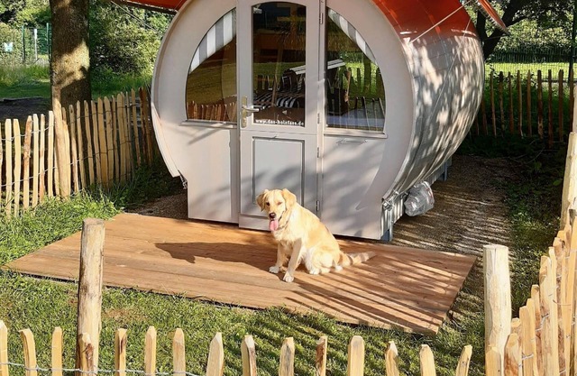 Holiday apartment Uslar for 1 - 4 persons - Holiday house