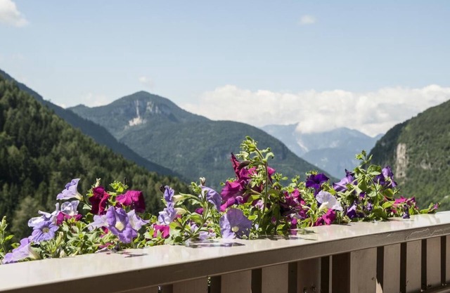 Holiday Apartment "Wiesenheim - Cislon"