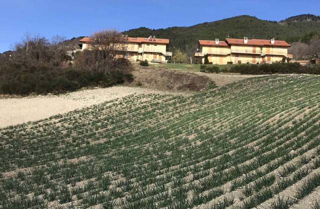 Holiday apartment "with panorama"