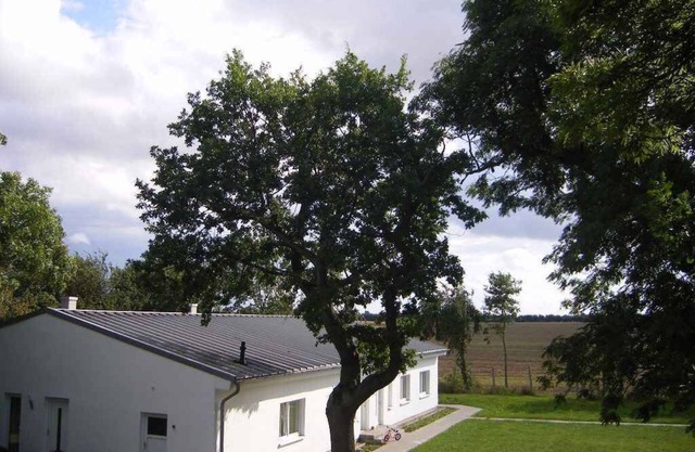 Holiday apartment with underfloor heating, fireplace and terrace
