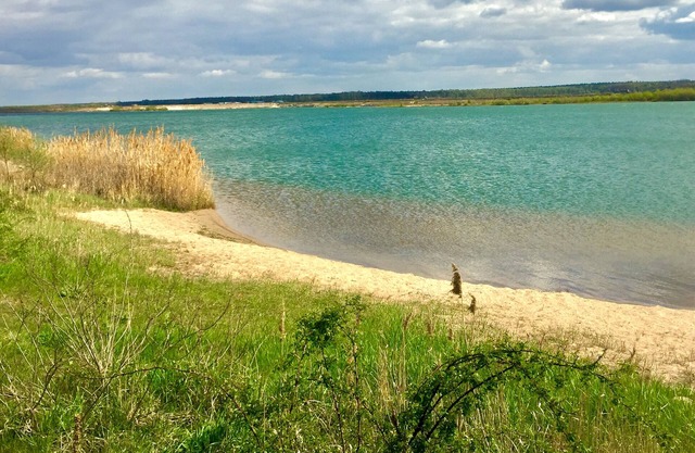 Holiday at the lake with private beach near Leipzig /Sauna- Holiday home for max. 5 PAX