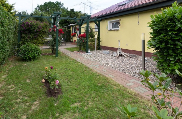 Holiday bungalow Thesenvitz - Holiday bungalow