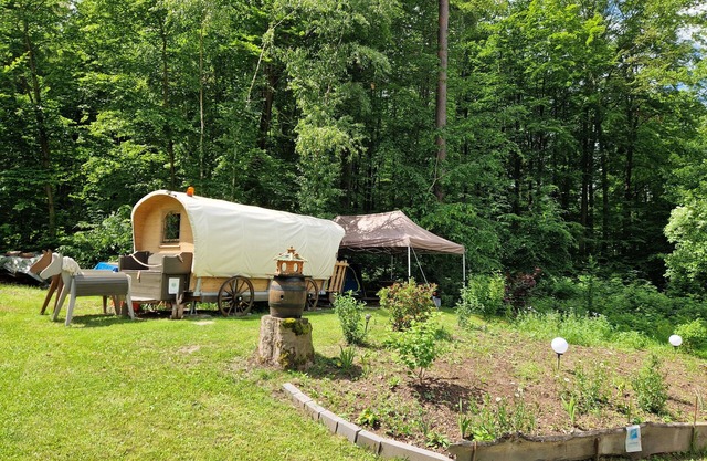 Holiday cabin right on the lake