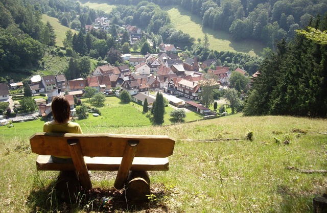 Holiday home in the Harz National Park (Lonau)