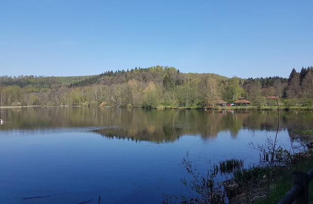 Holiday flat in the middle of the Idyll of the Palatinate Forest in Ludwigswinkel-Schöntal