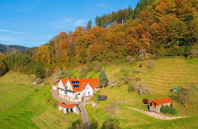 Holiday flat in the heart of the Renchtal - Apt 2