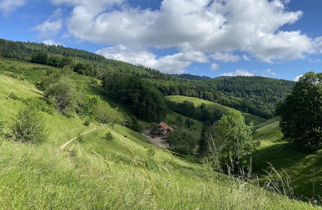 Holiday House Prairie D Hergauchamps/Sauna/Whirlpool on 20ha private property