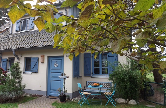 Holiday House 'Seeadler' by Oderhaff near Ostsea in the fishing village Kamminke