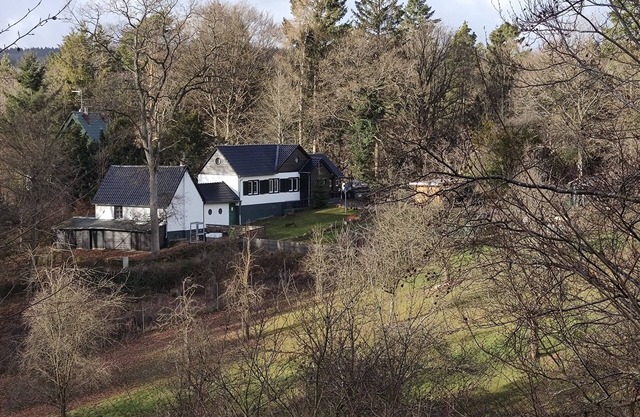 Holiday home alpaca view 🦙